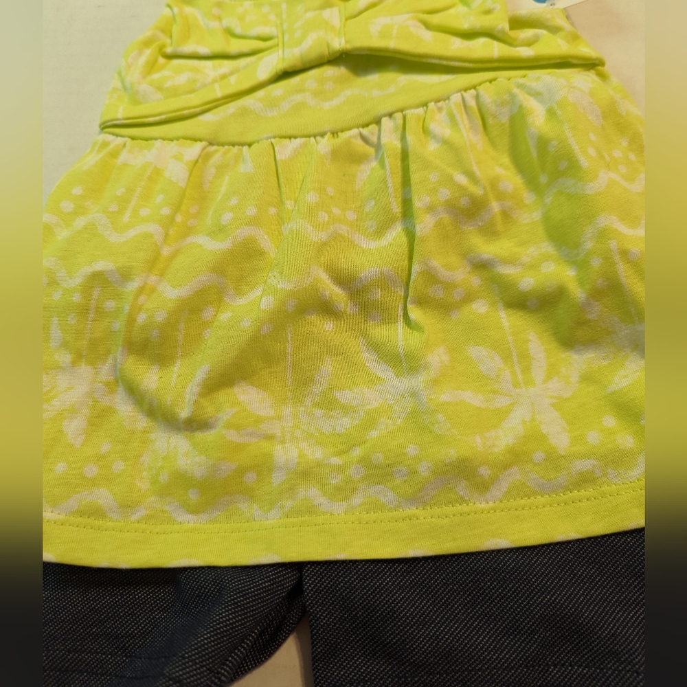 Little Girls Summer Short 2 Piece Set BNWT Size 12 Months - Picture 6 of 6